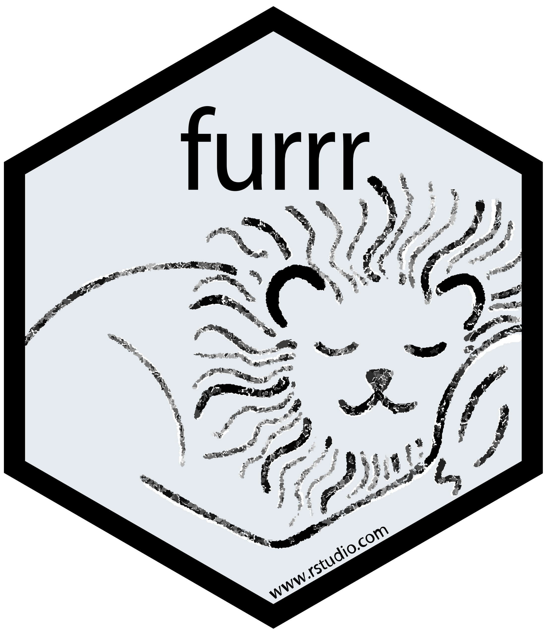 Icone do pacote furrr